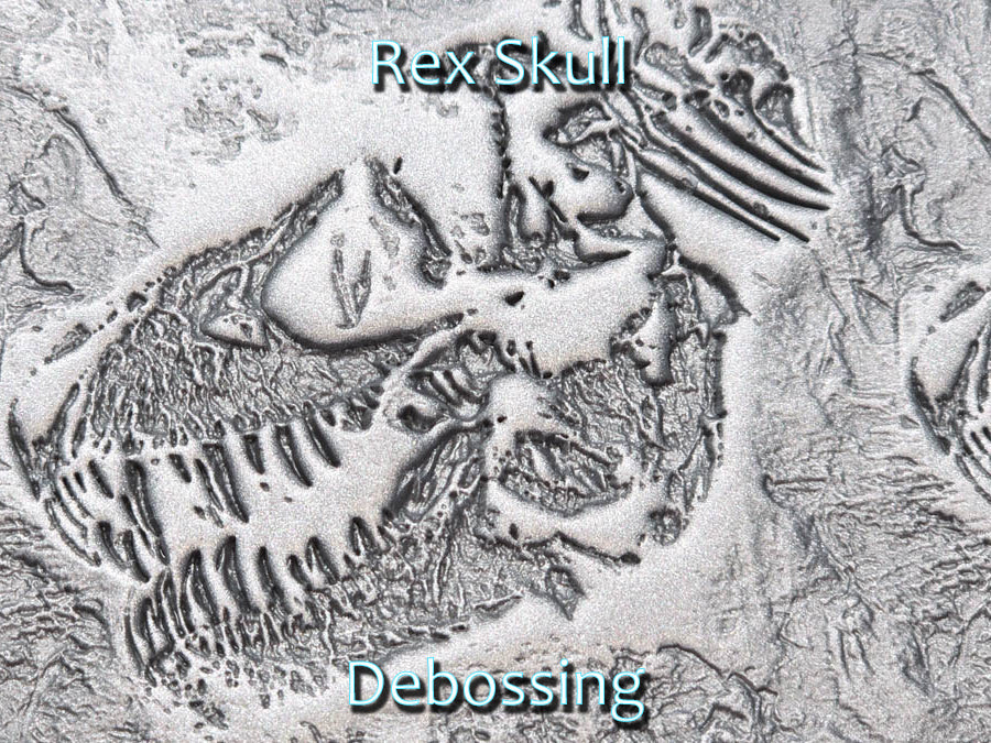 Rex Skull Deep Impression Texture Rollers